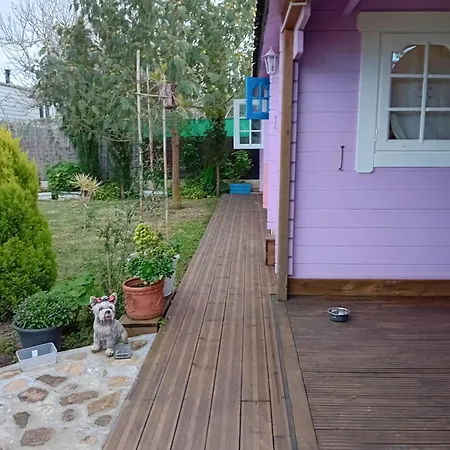 Ferienhaus Idilica Casa De Madera En Roche Cádiz